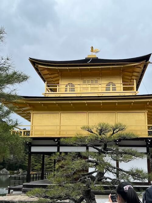 京都自由行金閣寺