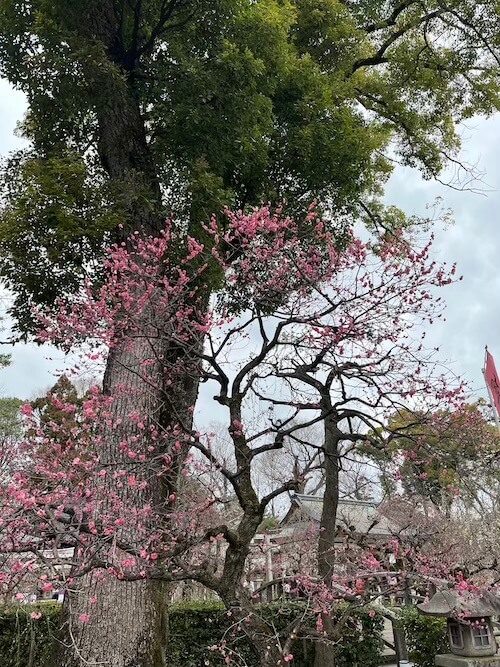 北野天滿宮