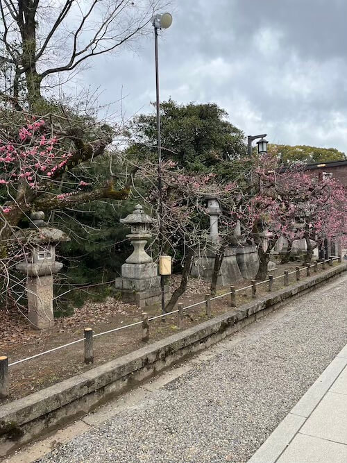 京都自由行 - 北野天滿宮