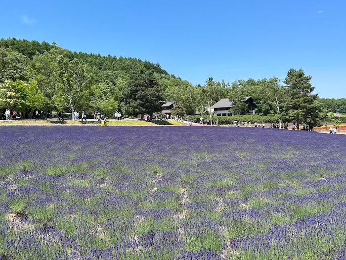 富田農場