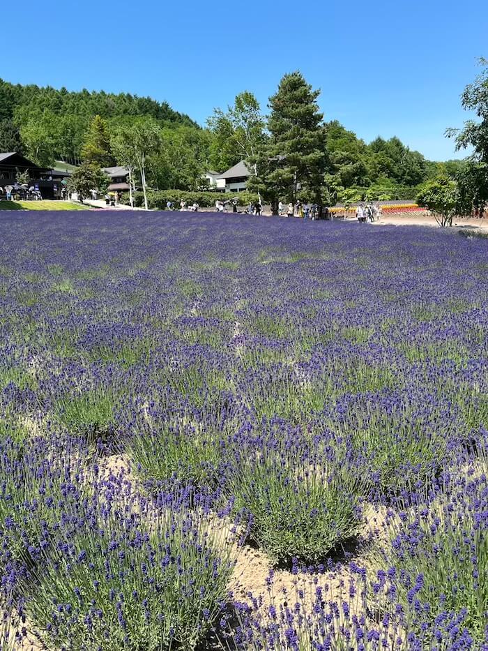 富田農場