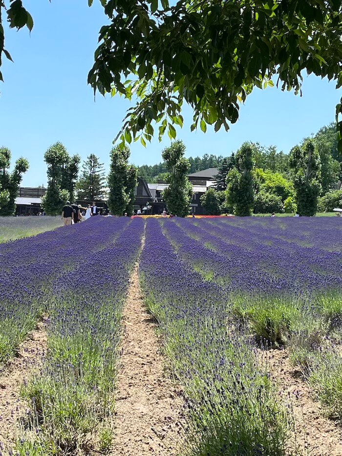 富田農場