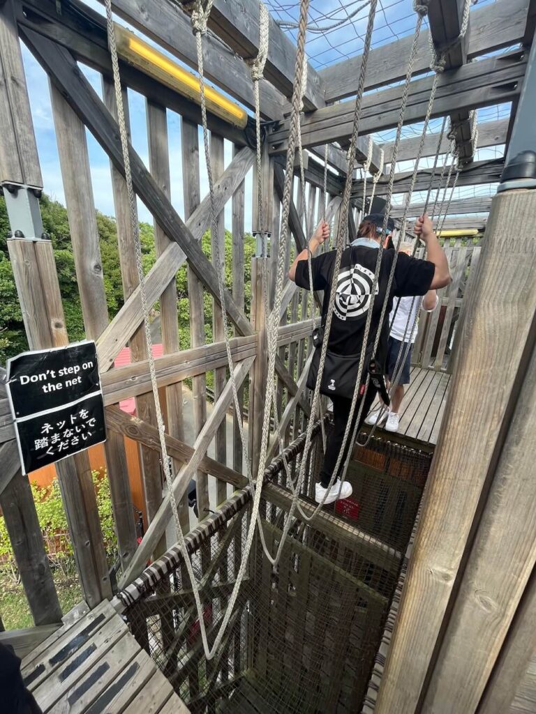 二次元之森火影忍者：天之卷