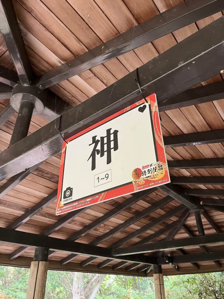 二次元之森火影忍者