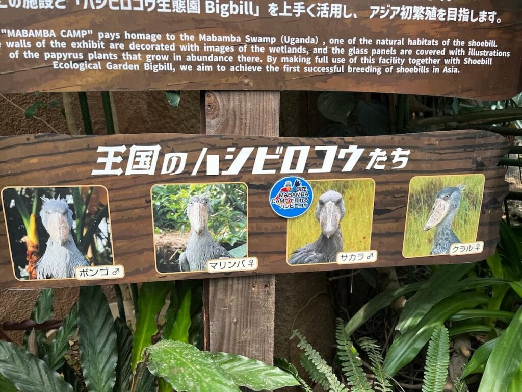神戶動物王國 BigBill