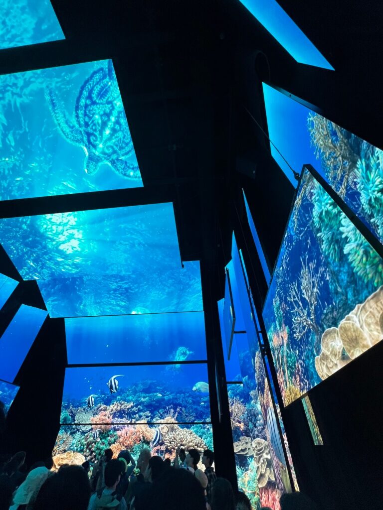 2025大阪萬博 澳洲館
