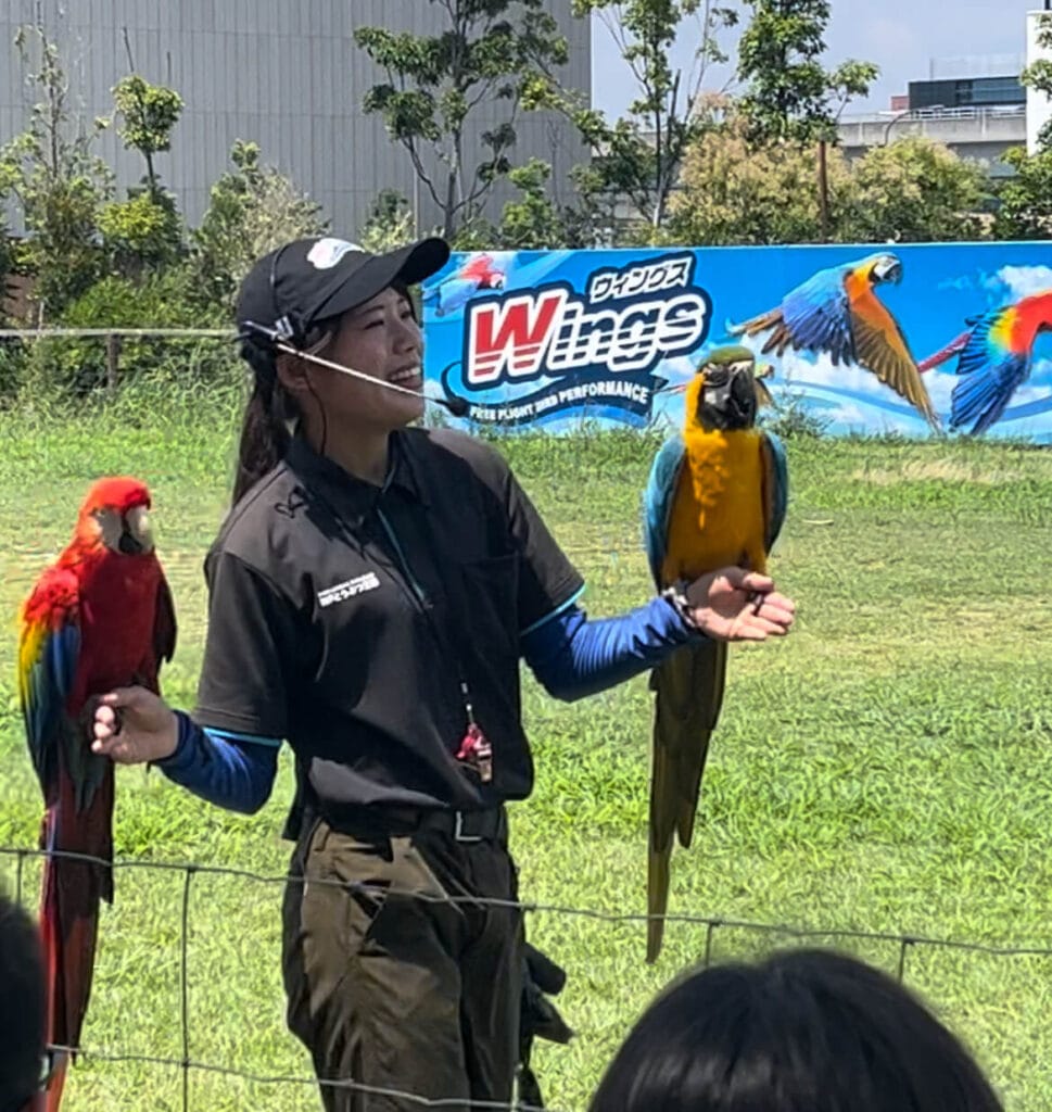 神戶動物王國：Wings～自由飛翔鳥類演出～