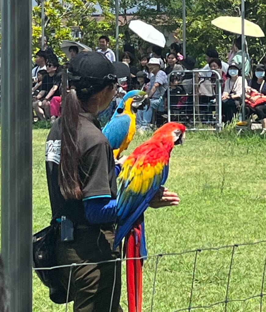神戶動物王國