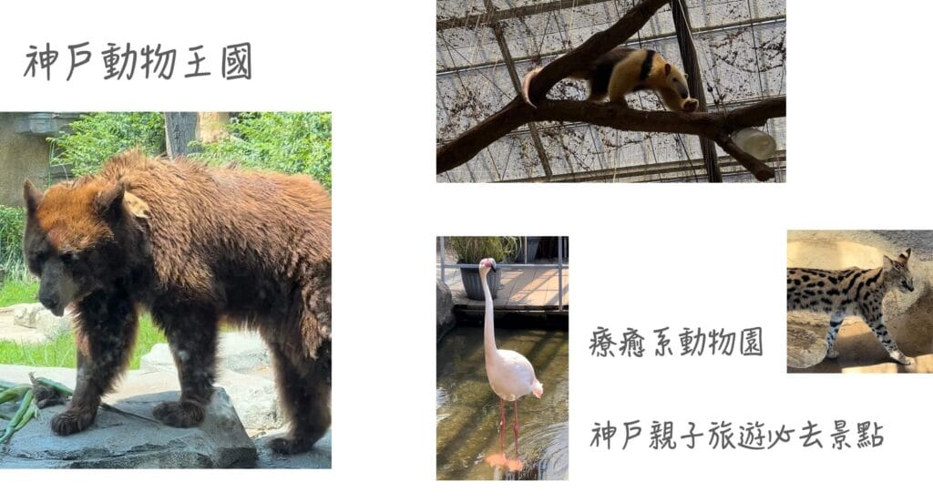神戶動物王國