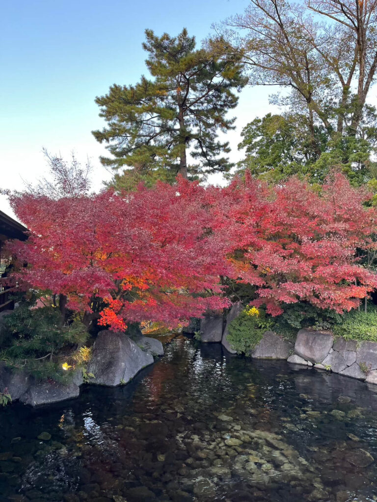 名古屋德川園