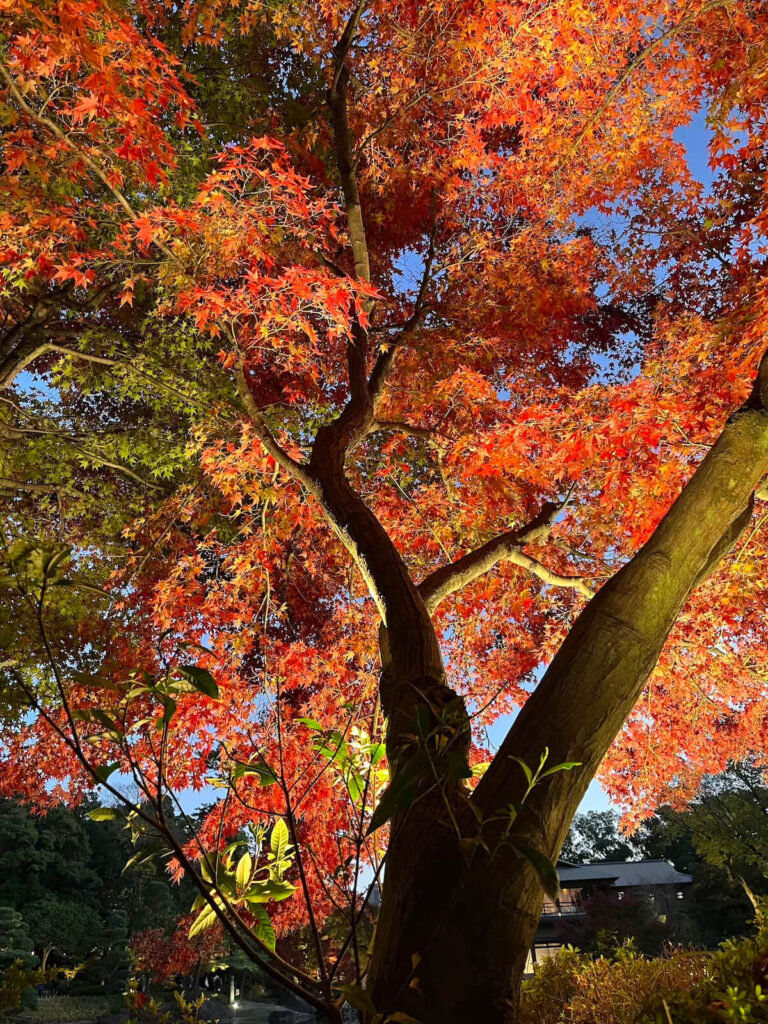 名古屋德川園