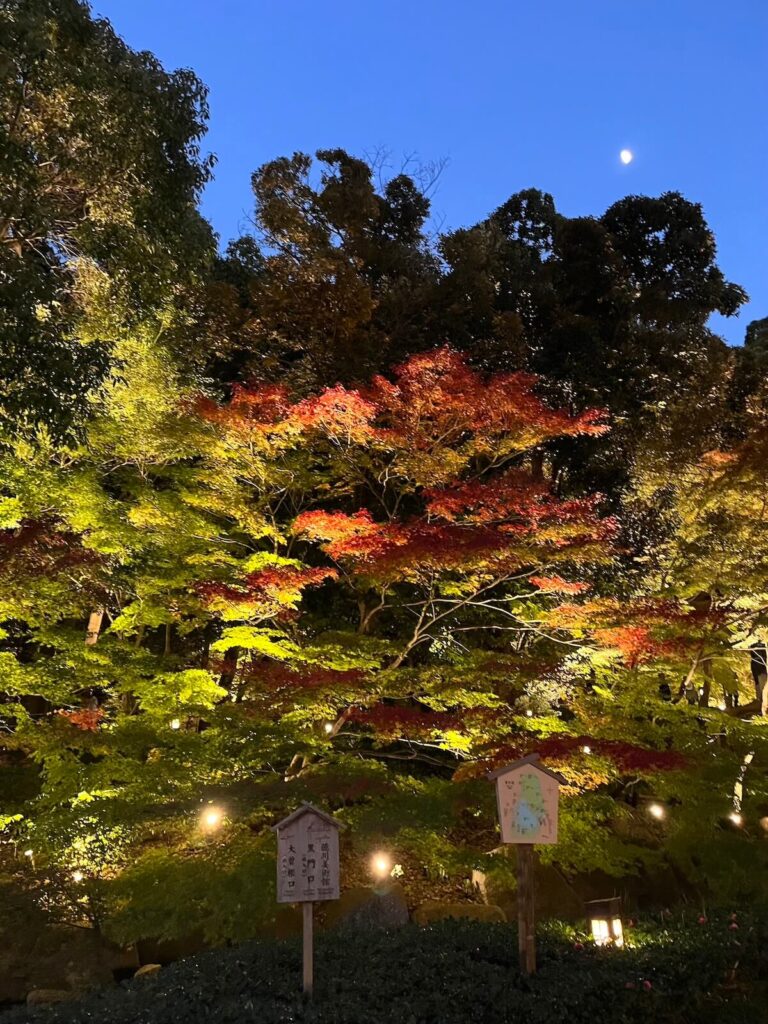 名古屋德川園
