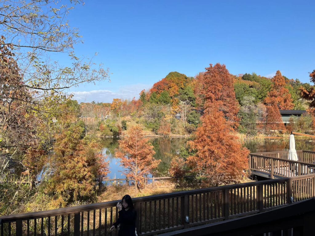 名古屋吉卜力公園街景