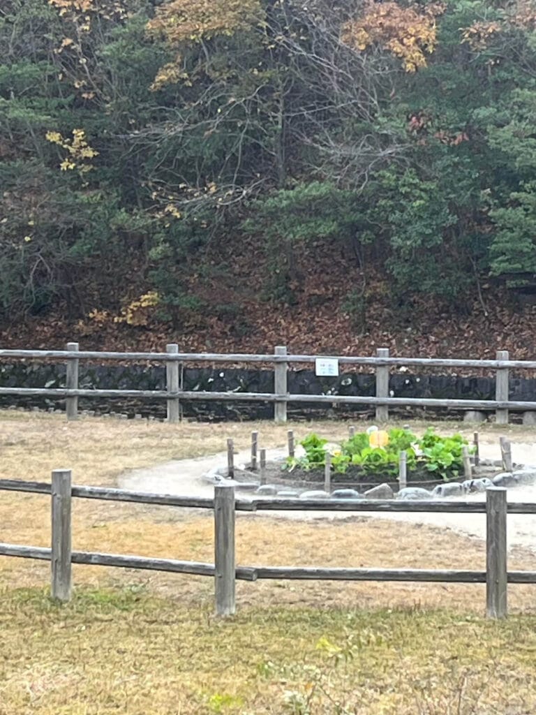 名古屋吉卜力公園 動動力森林:小月與小梅之家