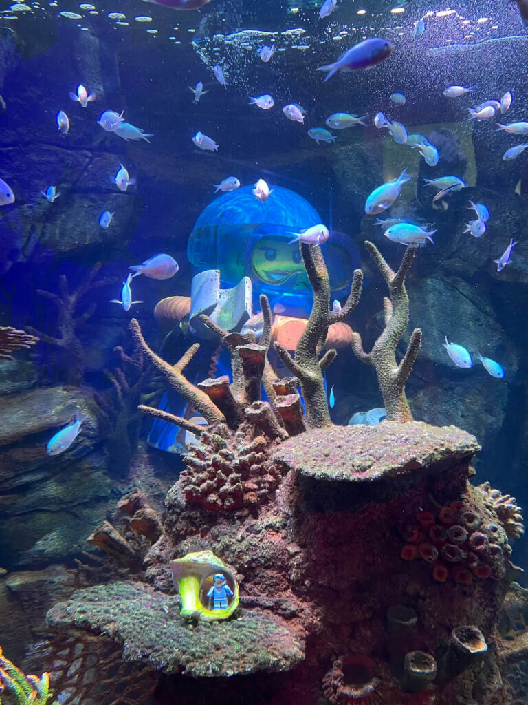日本樂高樂園：水族館