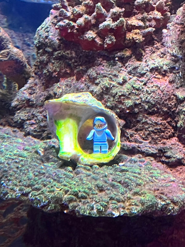 日本樂高樂園：水族館