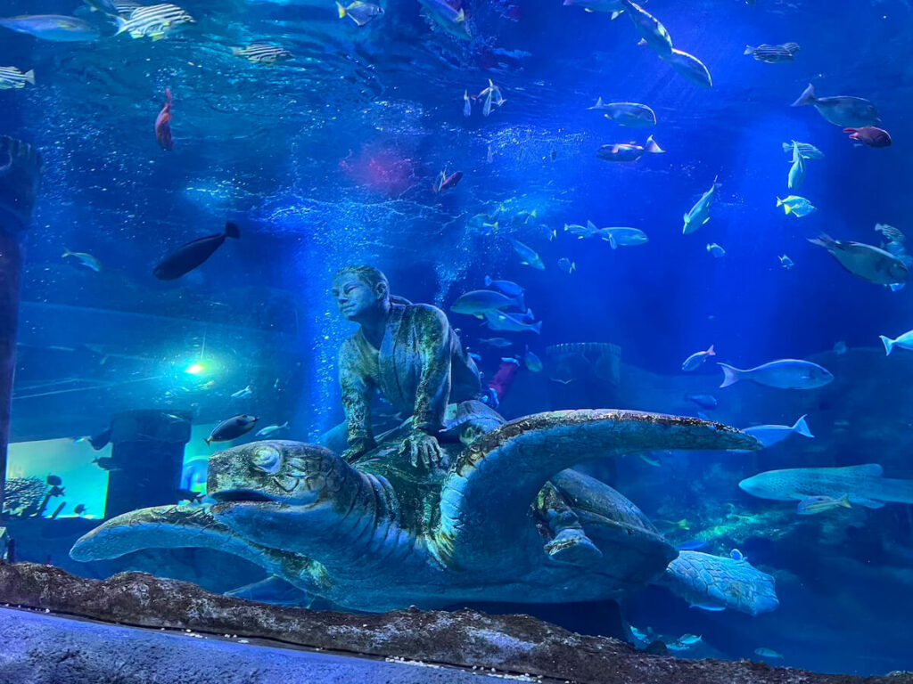 日本樂高樂園：水族館