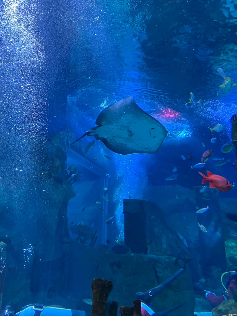 日本樂高樂園：水族館
