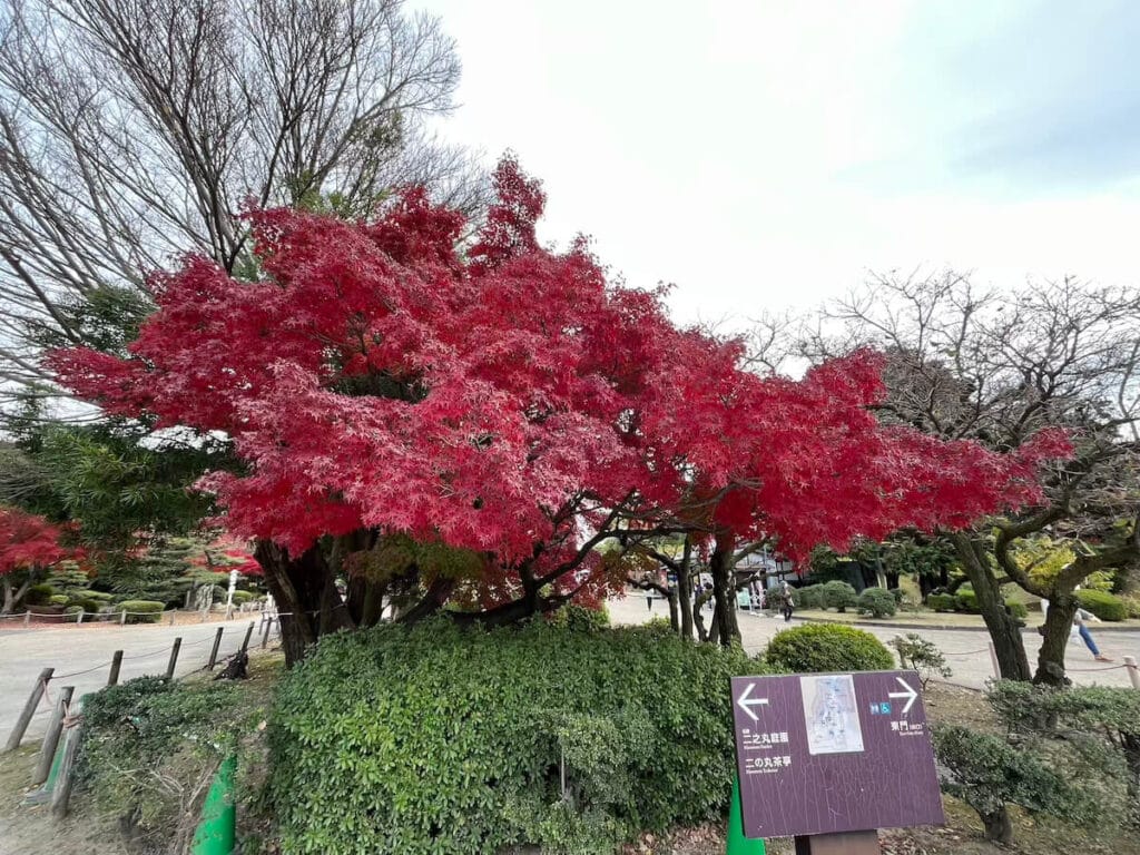 名古屋城公園