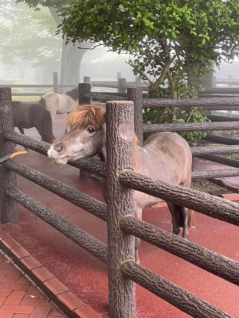 九州自然動物園
