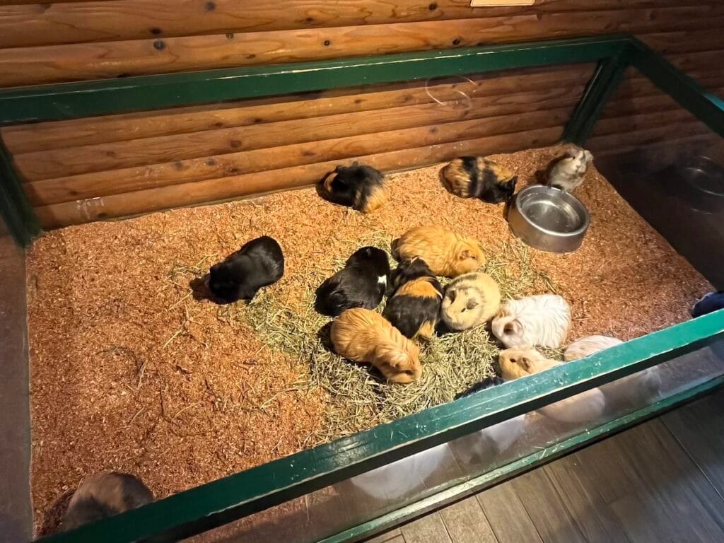 九州自然動物園
