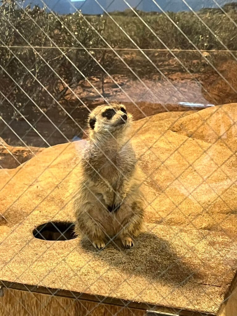 九州自然動物園