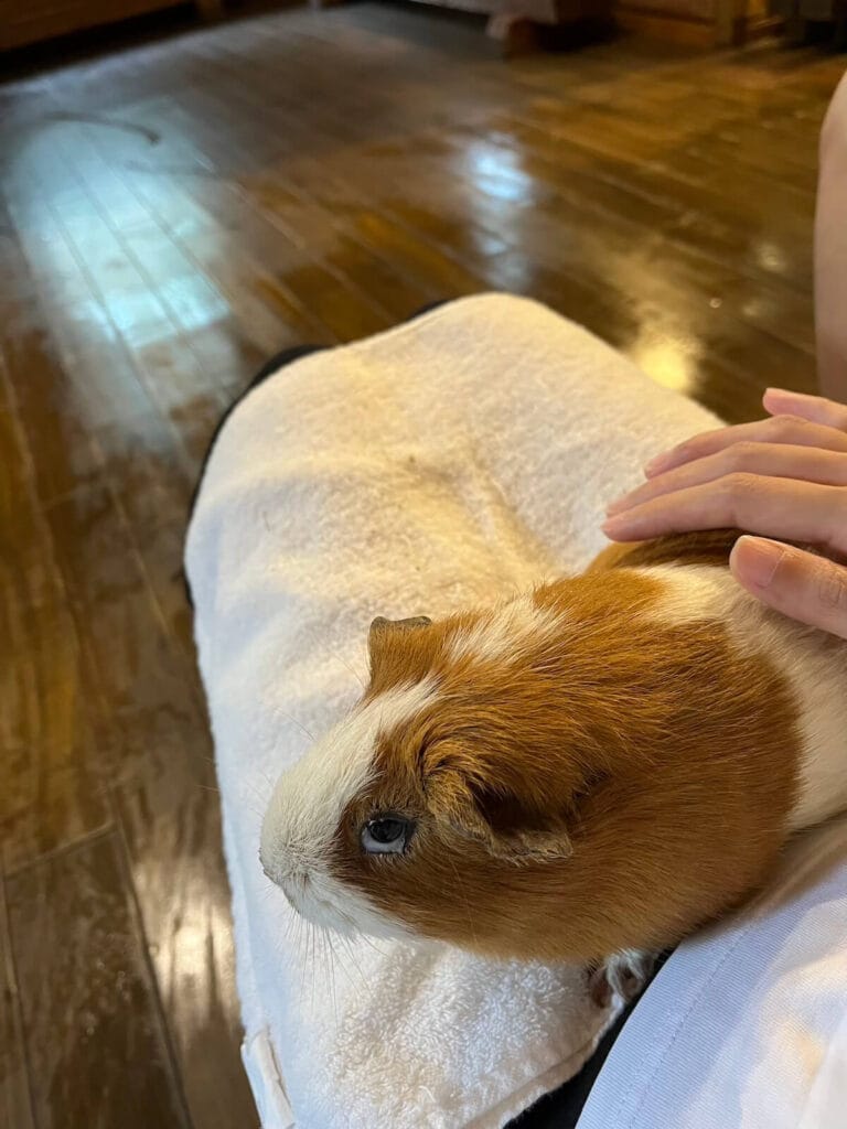 九州自然動物園