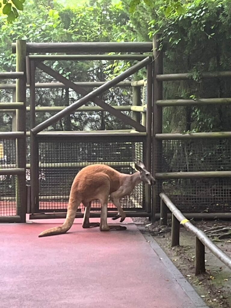 九州自然動物園