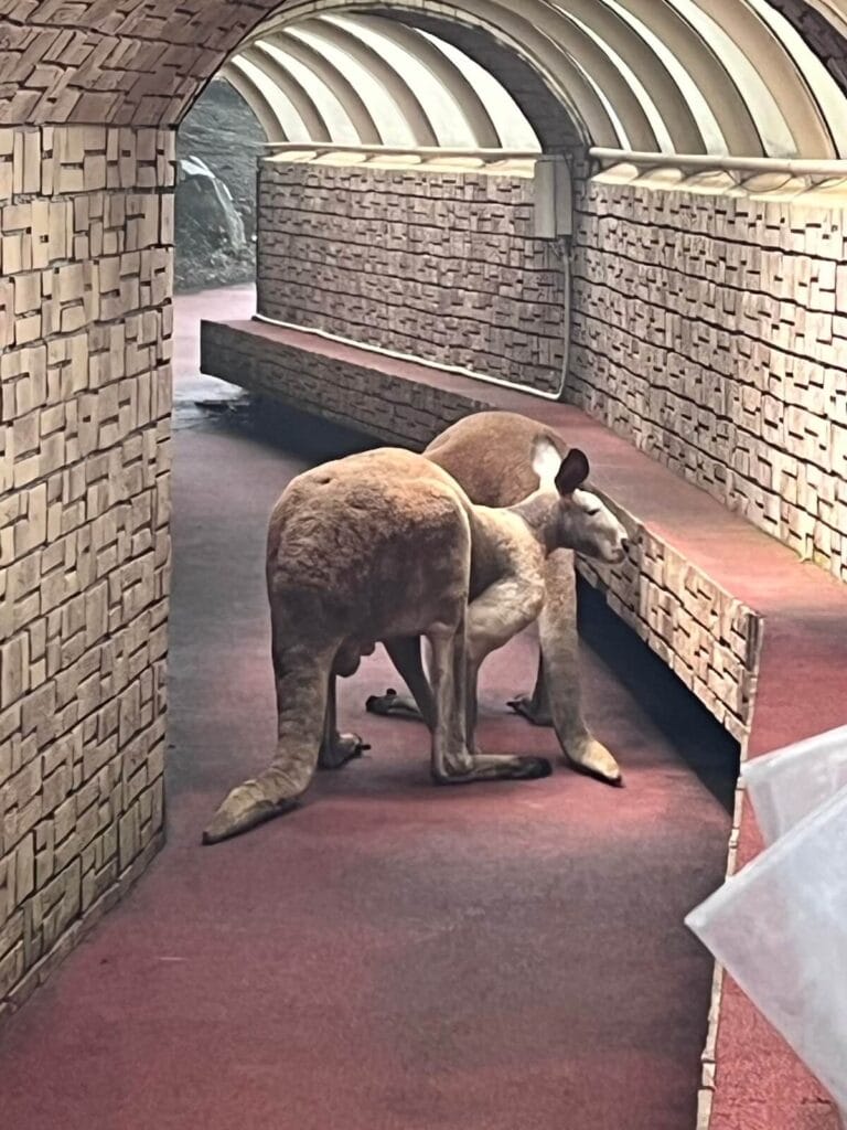 九州自然動物園