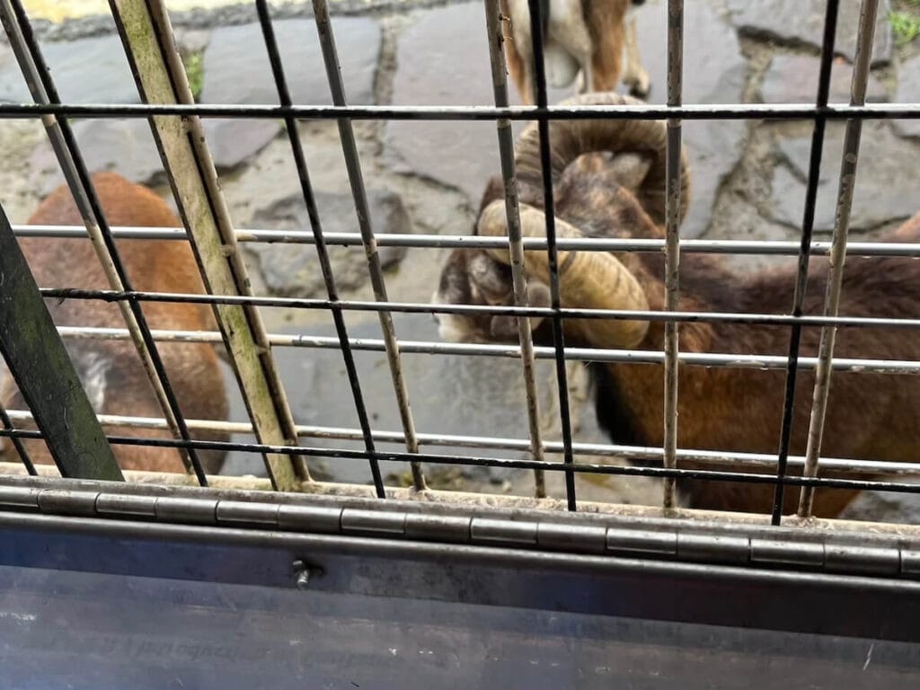 九州自然動物園