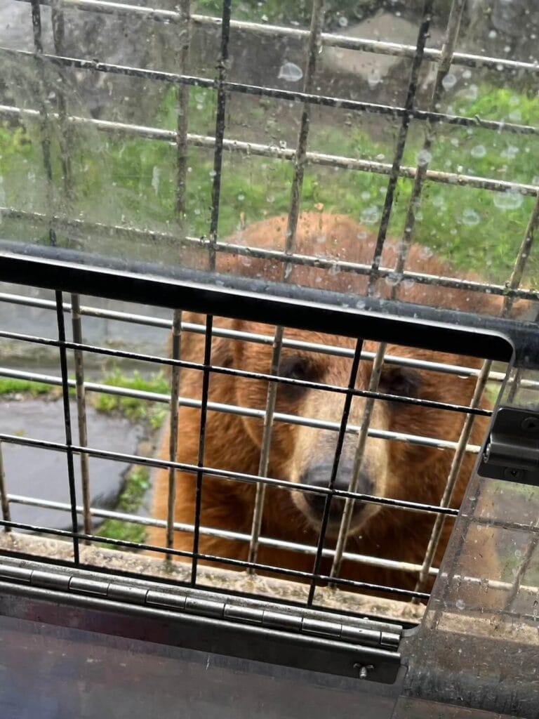 九州自然動物園