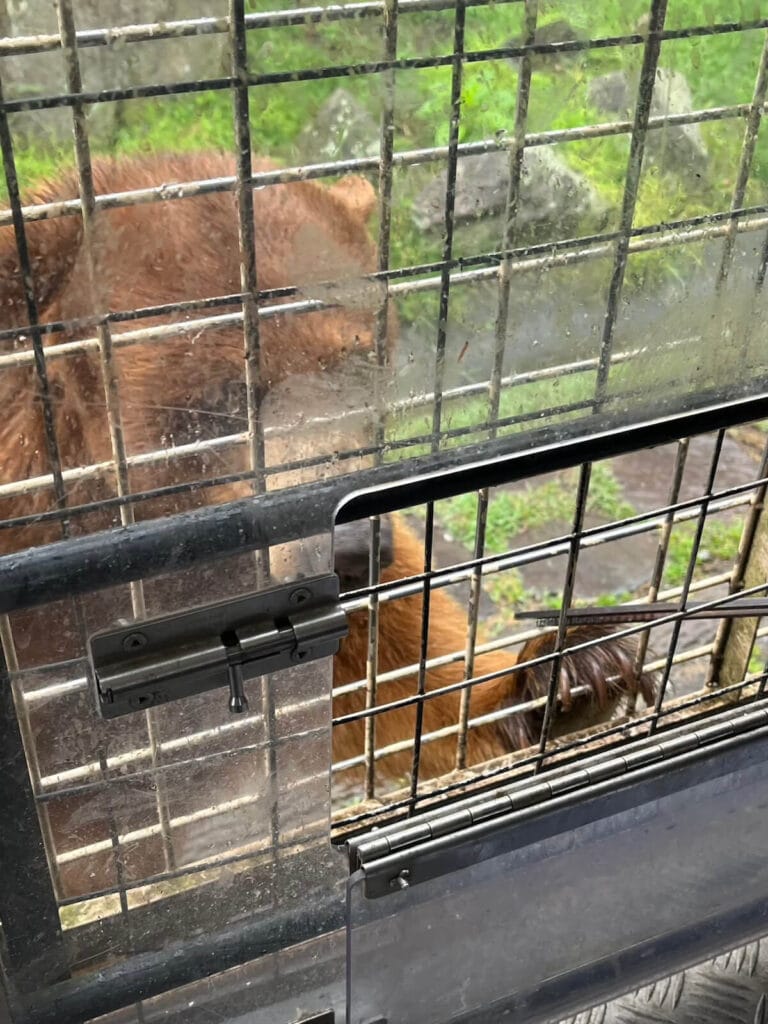 九州自然動物園