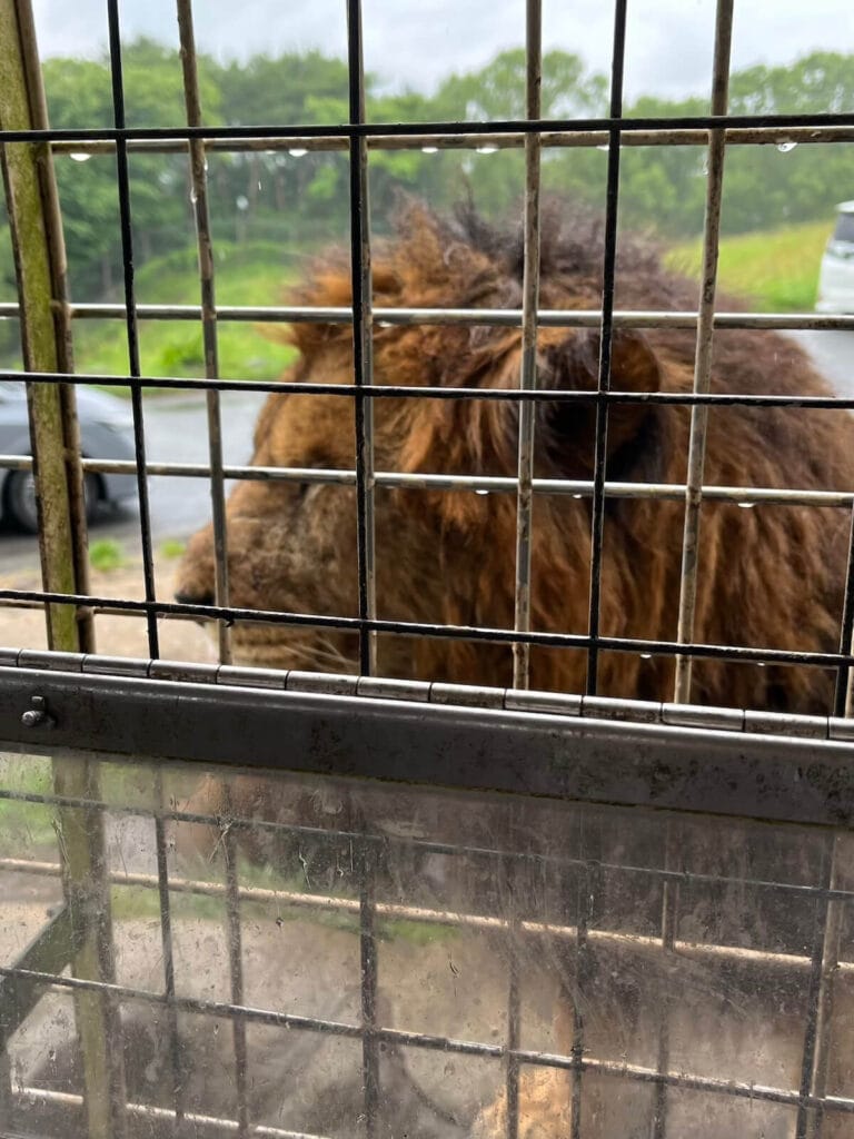九州自然動物園
