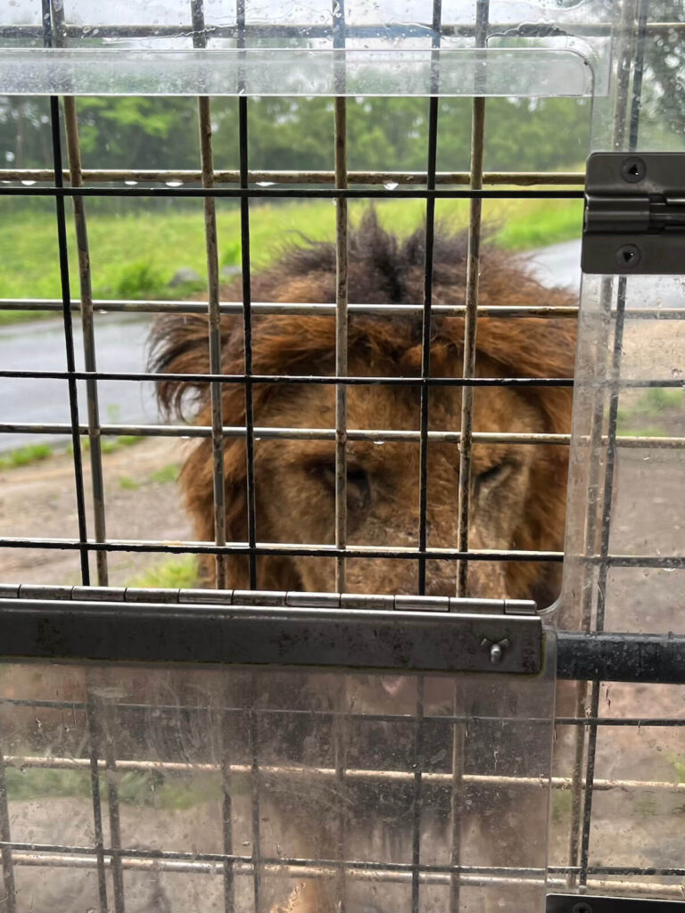 九州自然動物園