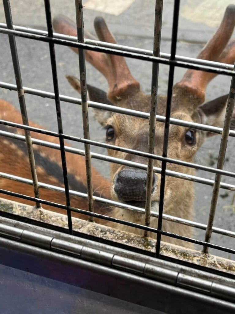 九州自然動物園
