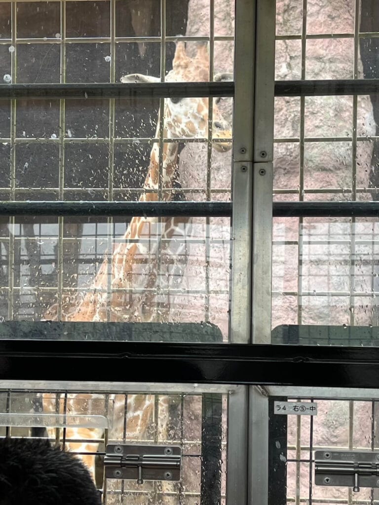 九州自然動物園