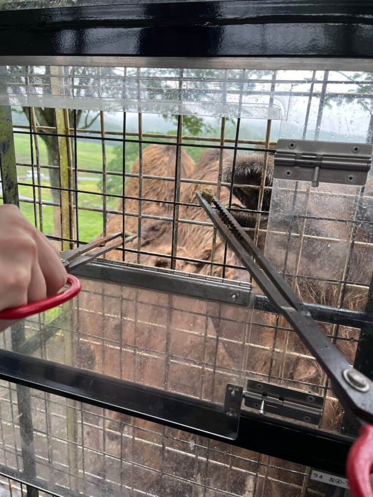 九州自然動物園