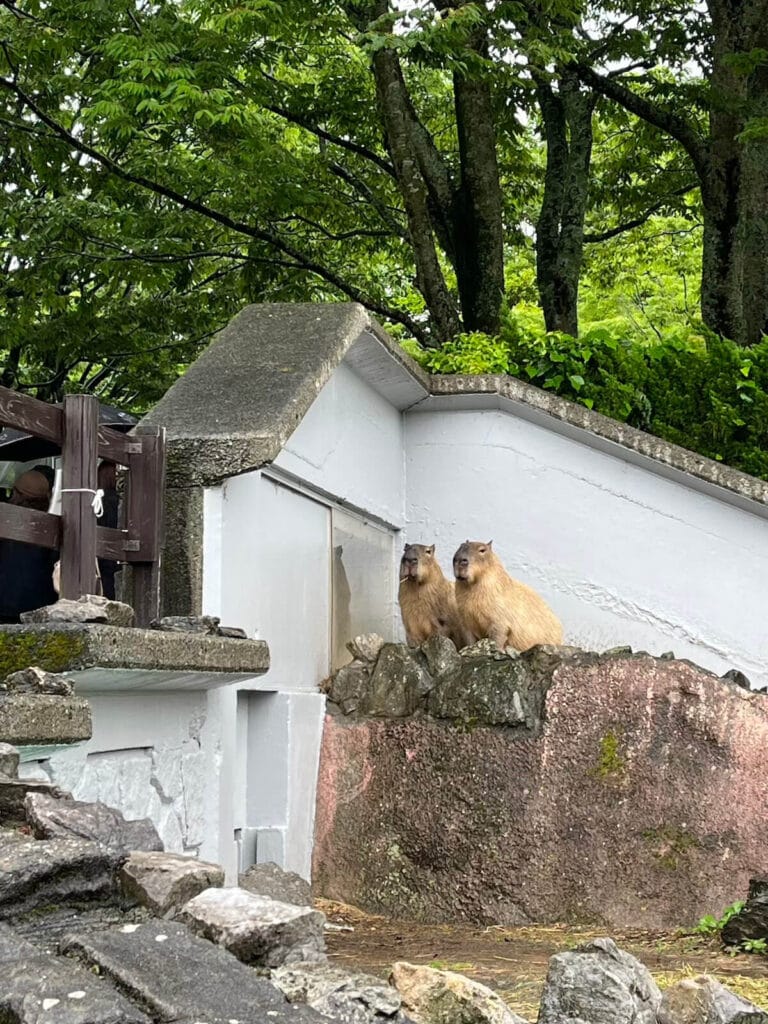 九州自然動物園