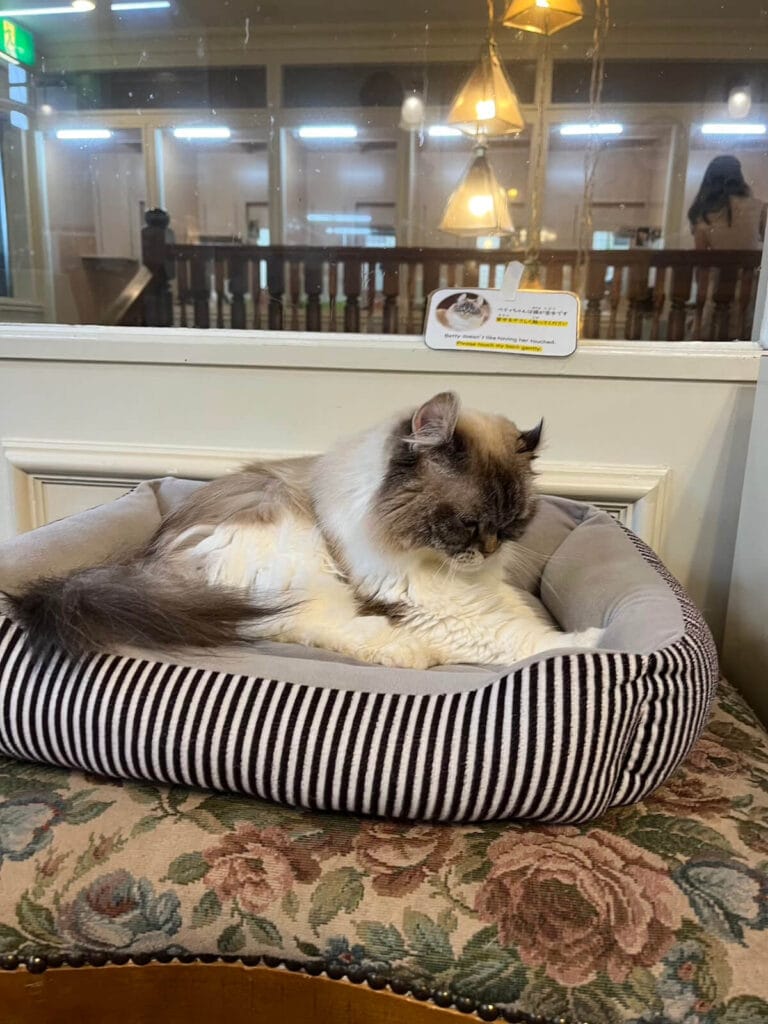 九州自然動物園