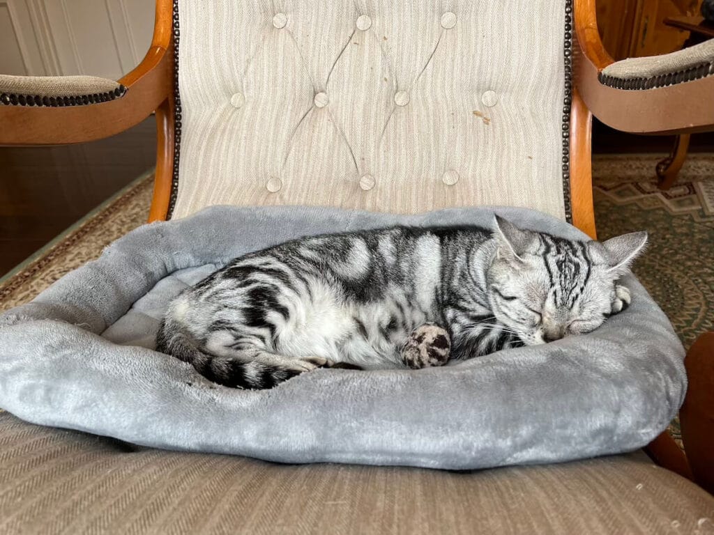 九州自然動物園