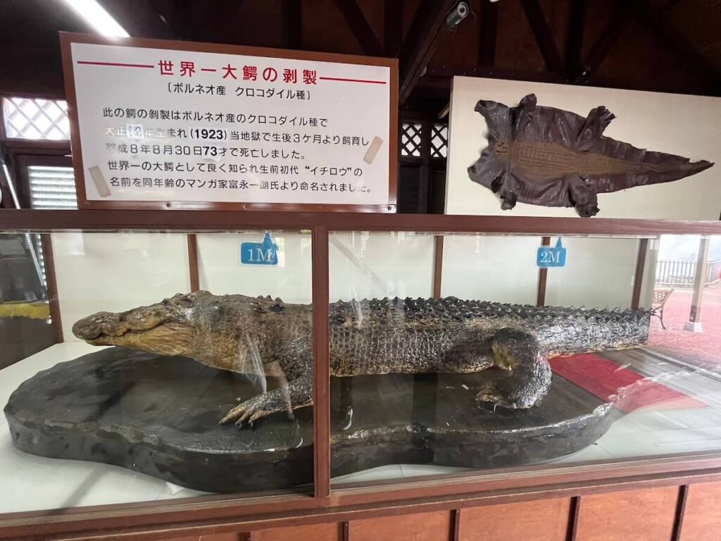 別府地獄巡禮:鬼山地獄