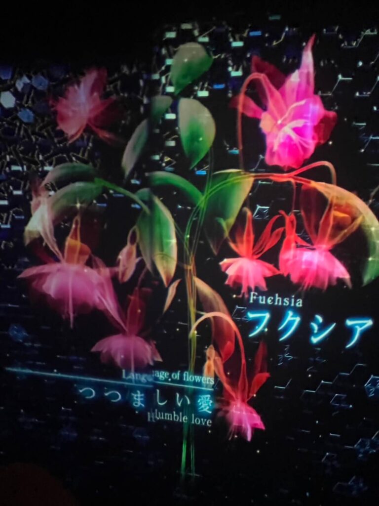 豪斯登堡展覽區